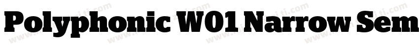 Polyphonic W01 Narrow SemiBold字体转换